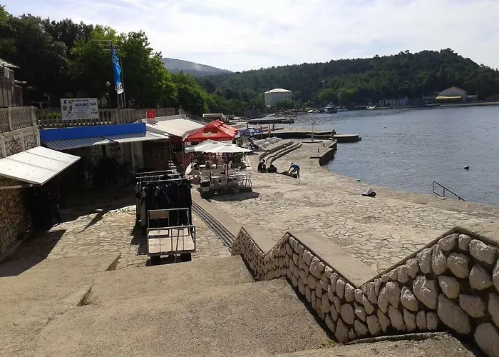 Διαμέρισμα Ivanka 2 Selce